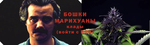 шишки Алексин