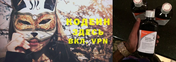 стаф Семилуки