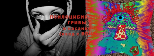 шишки Алексин