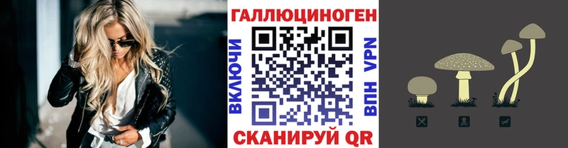 где продают наркотики нарко площадка состав Галлюциногенные грибы мицелий Железногорск-Илимский
